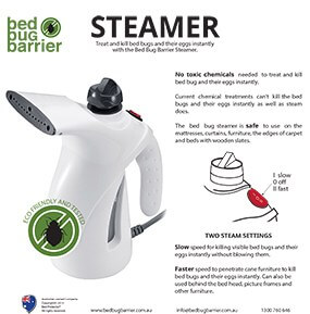 bed-bug-steamer
