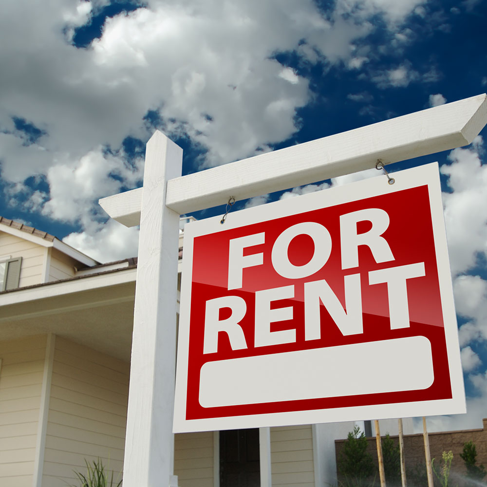 Bed Bugs in a Rental Property