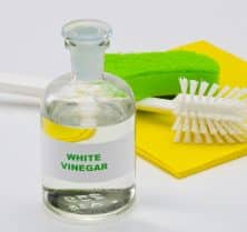 Get Rid of Bed Bugs with Vinegar