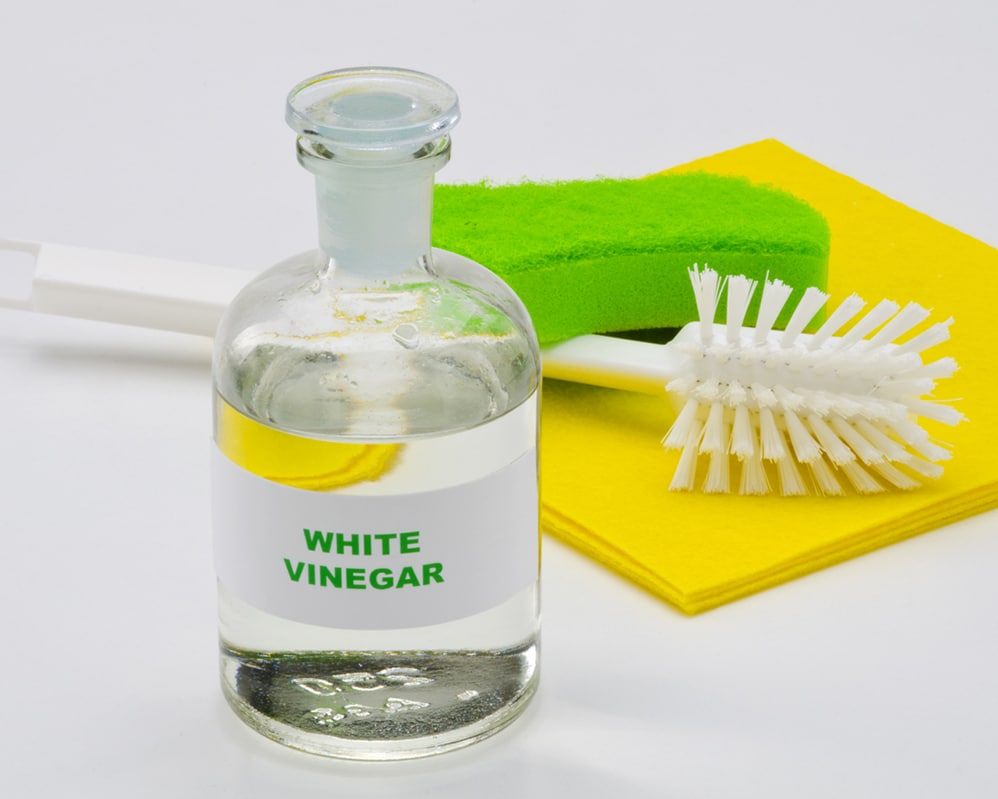 Get Rid of Bed Bugs with Vinegar
