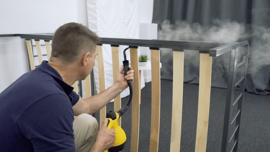 How Do You Get Bed Bugs Out? 2 Fast And Forever Solutions