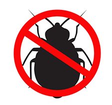 bed bug elimination