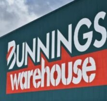 bed bug spray bunnings