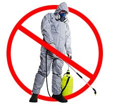 bed bug sprays