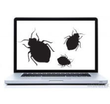 bed bugs in computers