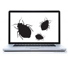 bed bugs in computers