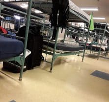 Bed Bugs In Homeless Shelters