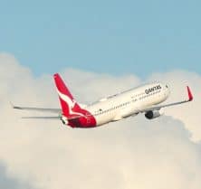 bed bugs on aeroplanes