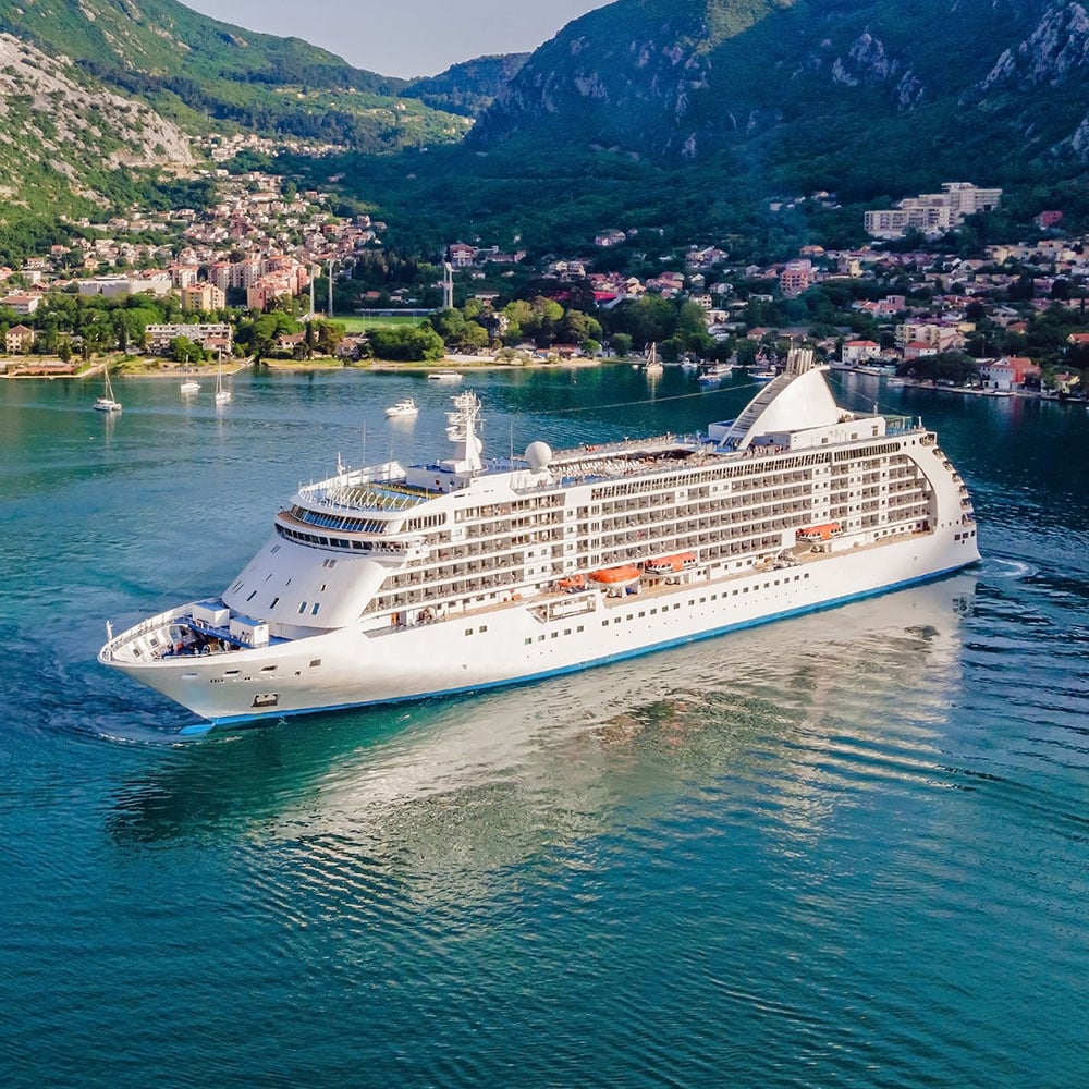 bed bugs on cruise ships