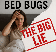 bed bugs-the big lie