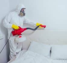 deaths caused by bed bug sprays