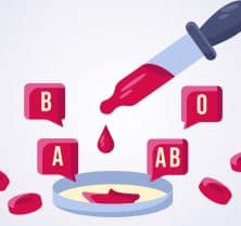 Do Bed Bugs Have a Favourite Blood Type