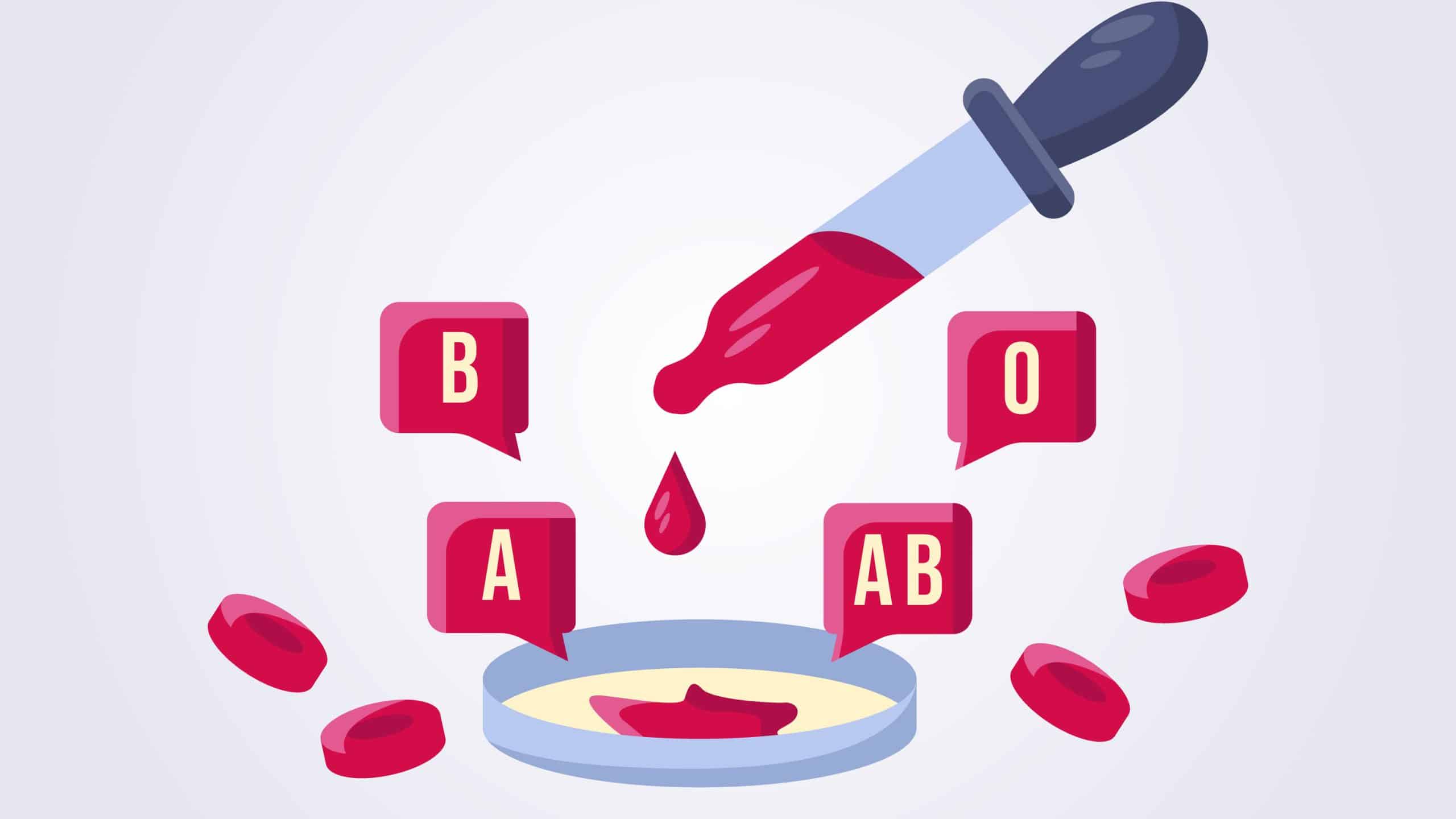 Do Bed Bugs Have a Favourite Blood Type