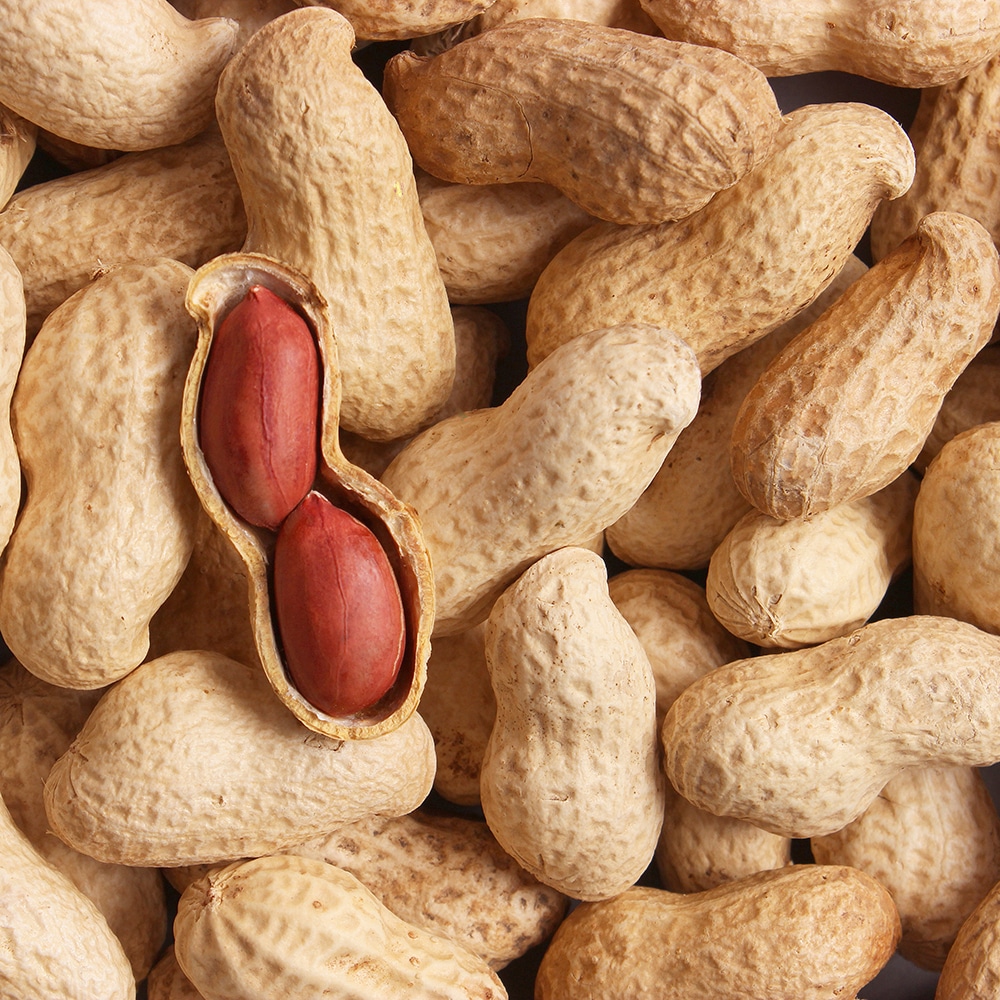 peanuts are the main allergy triggers