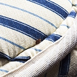 Bed Bug On Mattress