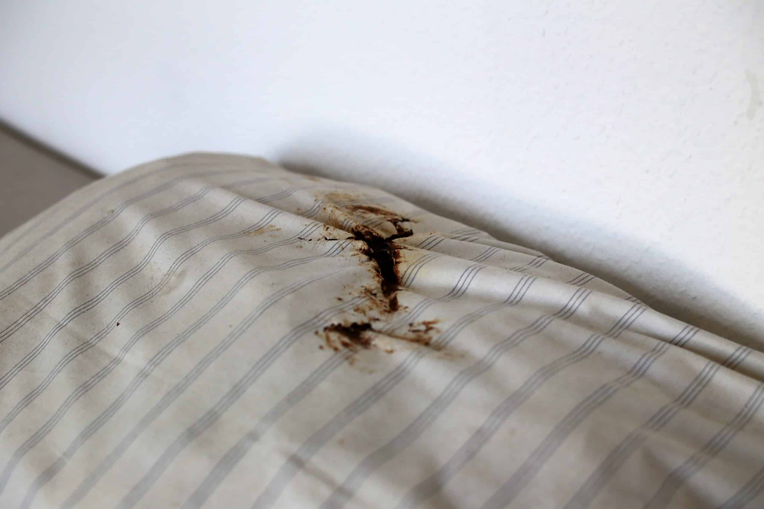 poo stain on sheets